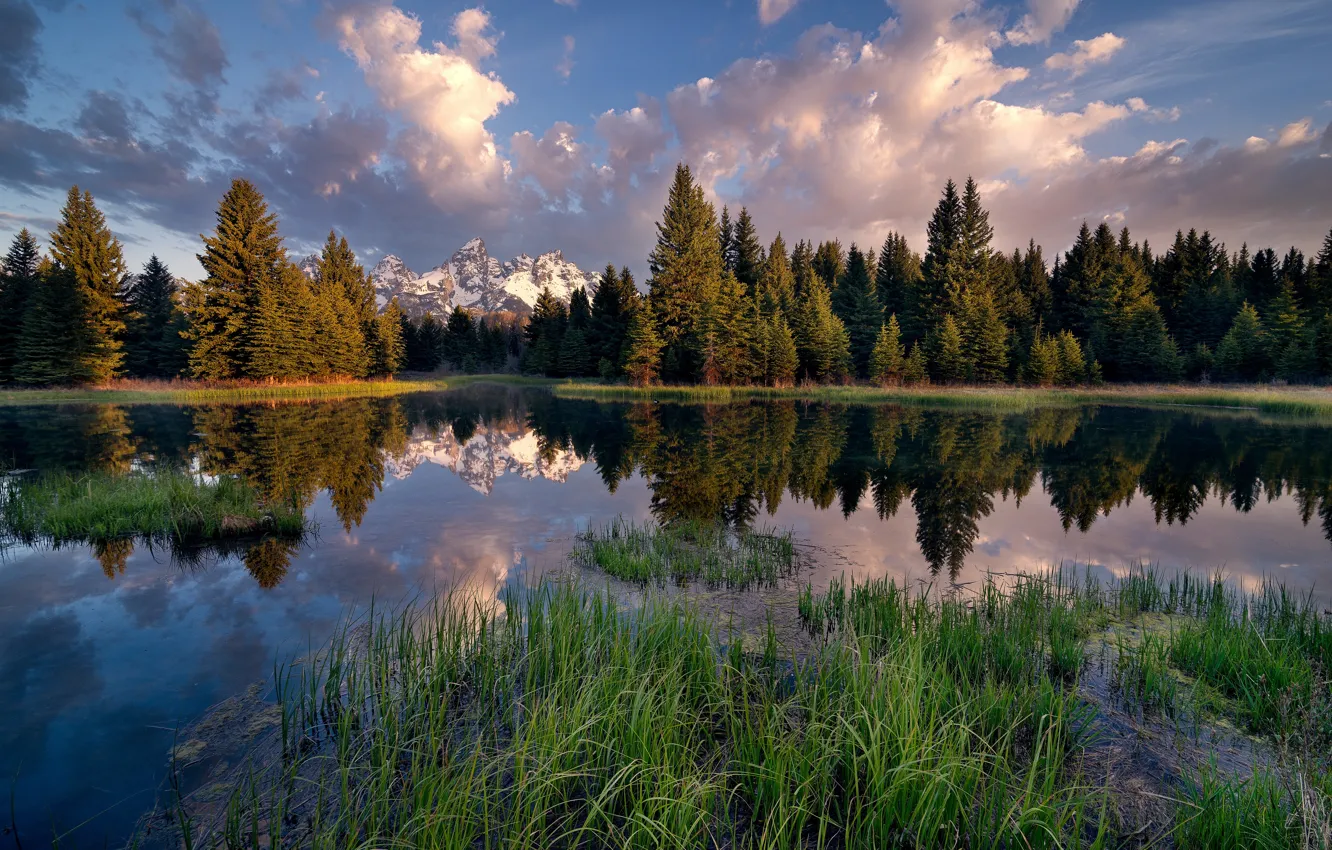 Photo wallpaper forest, water, clouds, trees, mountains, lake, reflection, reed
