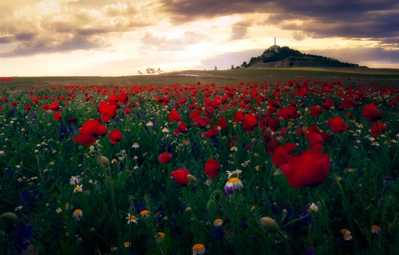 Photo wallpaper Castile and León, Villalobón, Palencia