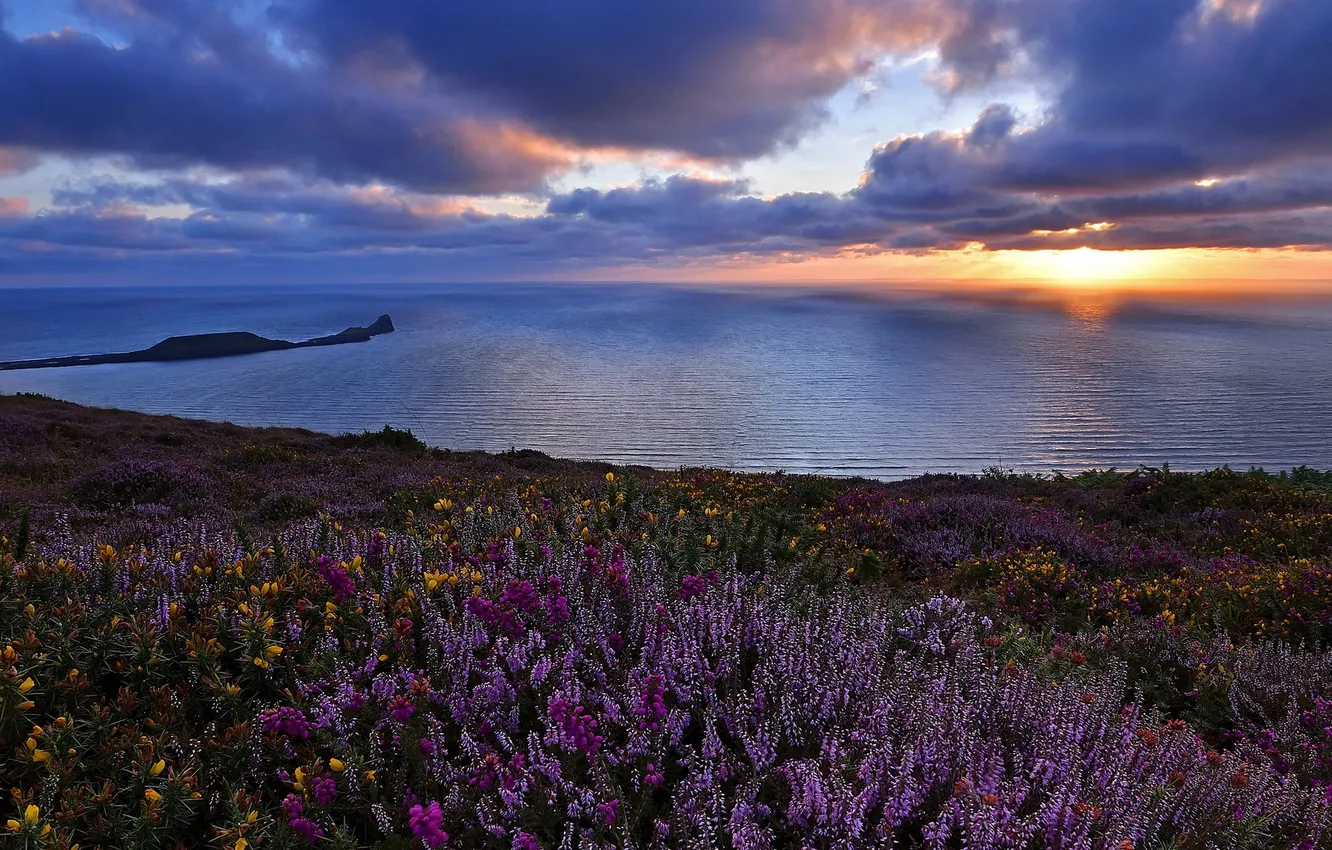 Photo wallpaper sea, landscape, sunset, flowers