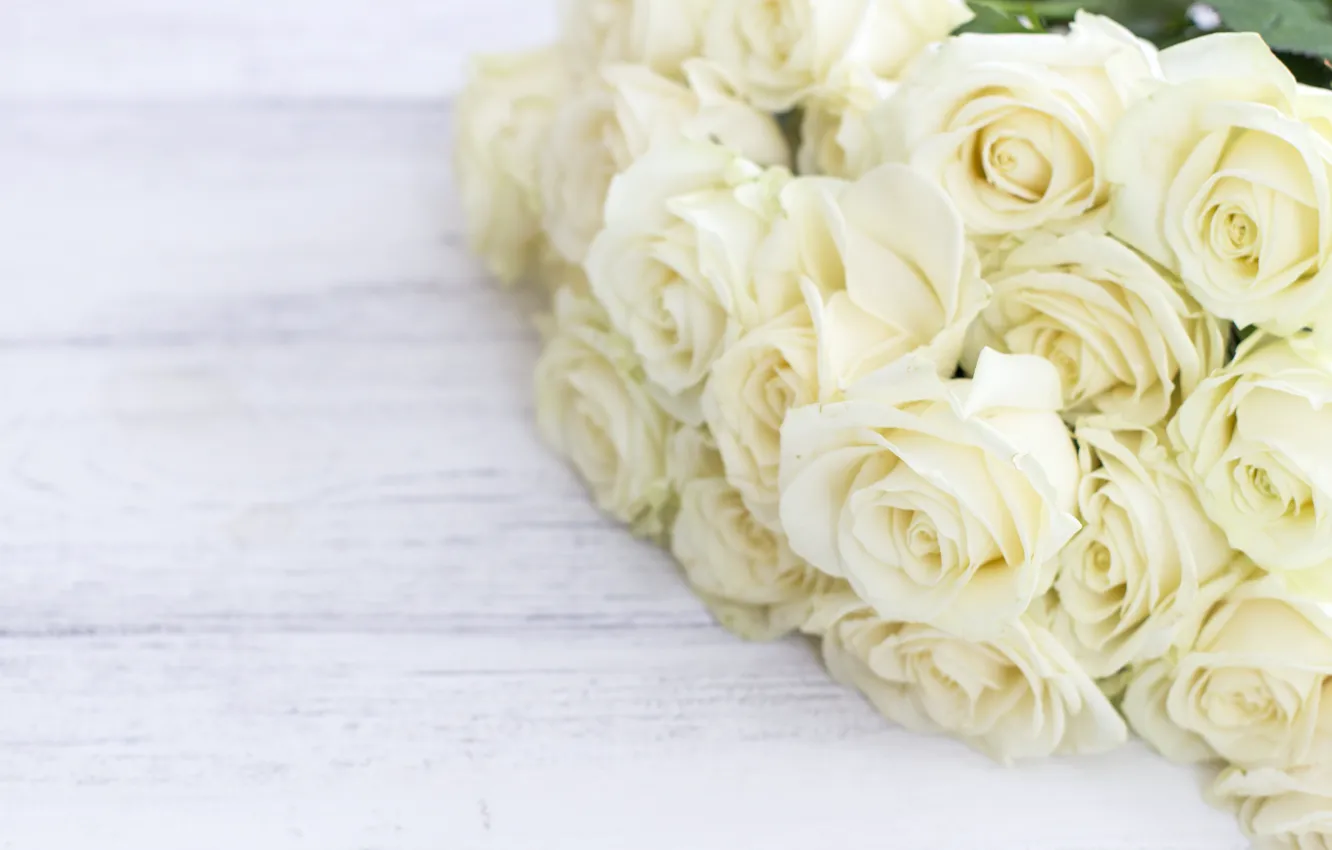 Photo wallpaper flowers, roses, bouquet, white, white, buds, wood, flowers