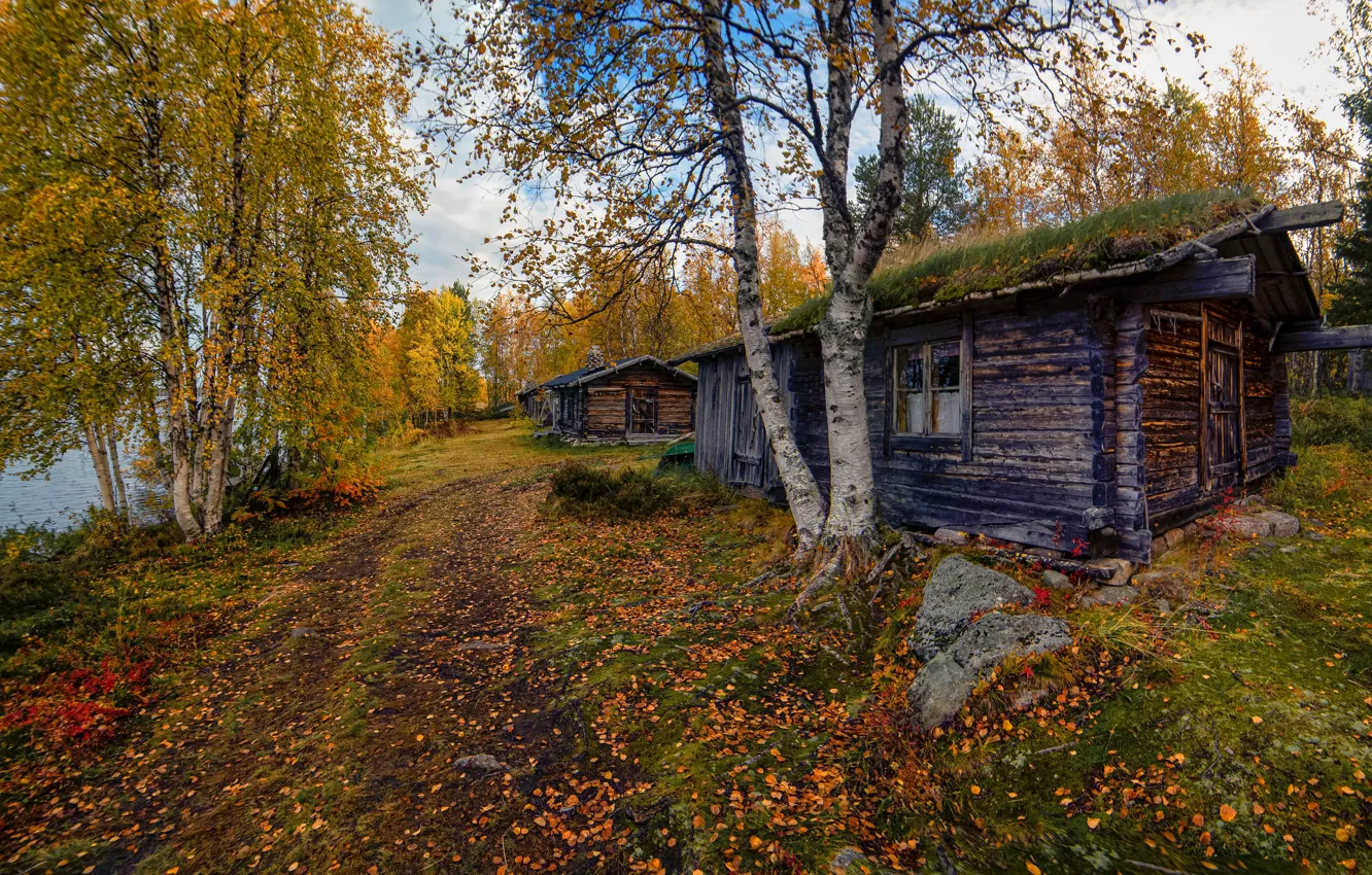 Photo wallpaper road, autumn, forest, trees, house, shore, foliage, village