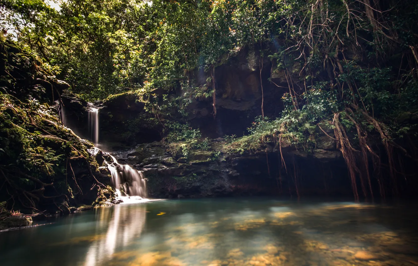 Photo wallpaper forest, waterfall, Hawaii, Hawaii, Oahu, Aiea Loop Falls, Kalauao Falls