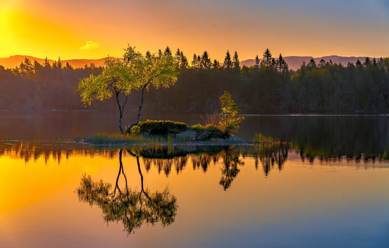 Photo wallpaper lake, reflection, tree, Norway, island