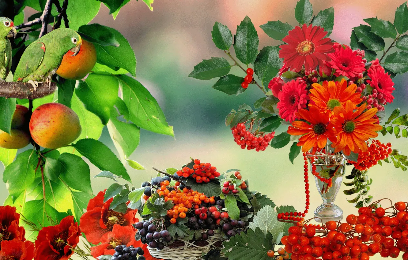 Photo wallpaper flowers, berries, parrot, still life, Rowan