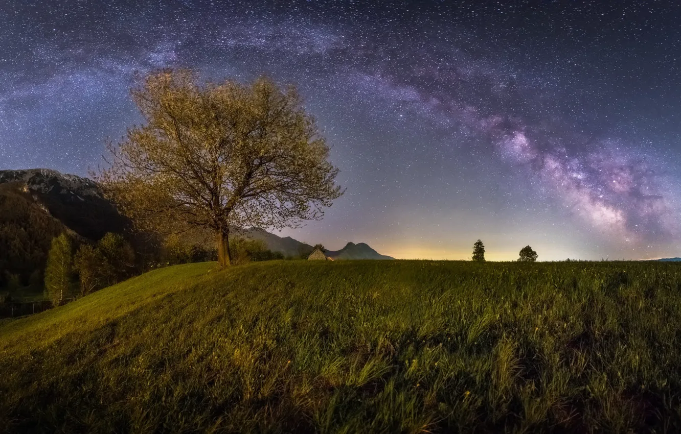 Photo wallpaper the sky, landscape, nature, tree, hills, stars, the milky way