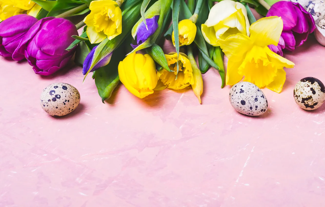 Photo wallpaper flowers, eggs, colorful, Easter, tulips, happy, flowers, tulips