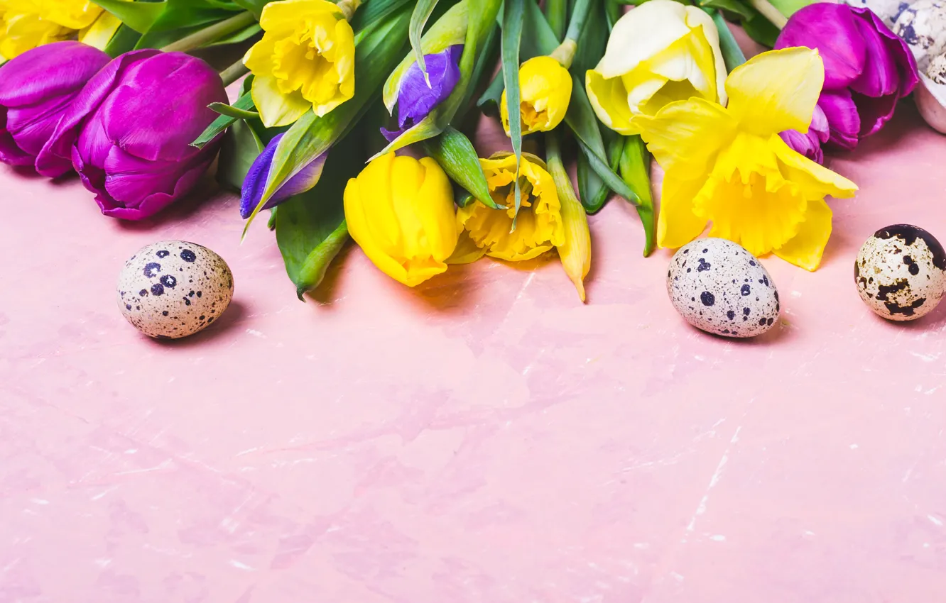 Photo wallpaper flowers, eggs, colorful, Easter, tulips, flowers, tulips, Easter