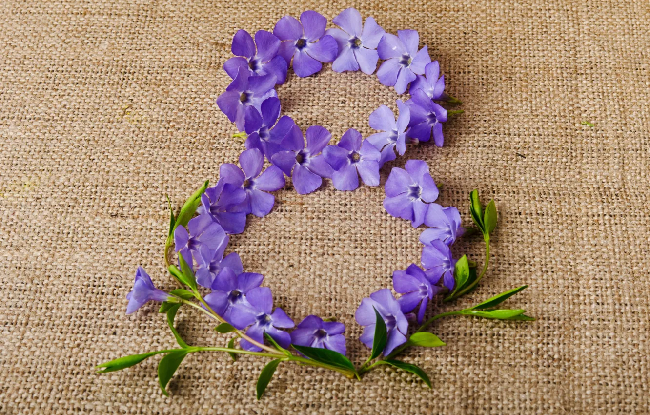 Photo wallpaper flowers, background, purple, figure, fabric, March 8, date, women's day