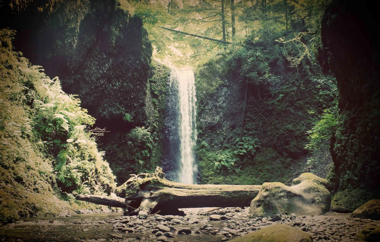 Photo wallpaper forest, waterfall, landscape, mountain river