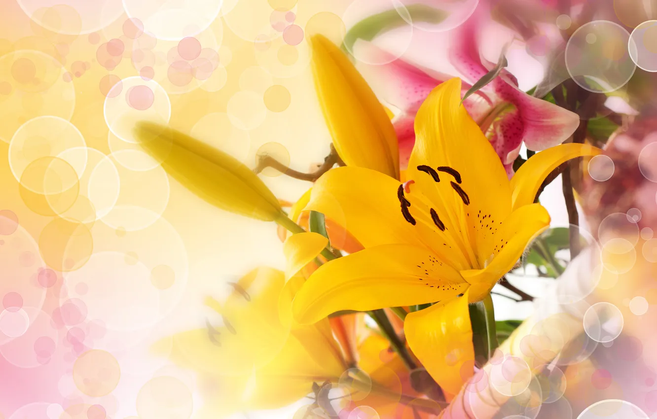 Photo wallpaper Lily, bouquet, petals, bokeh