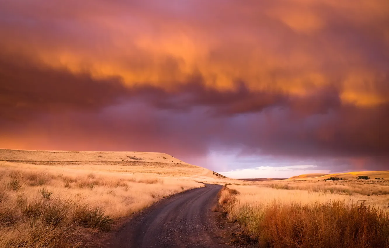 Photo wallpaper road, field, the sky