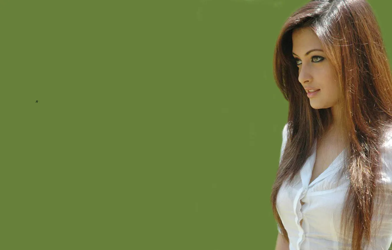 Photo wallpaper actress, actress, bollywood, Riya Sen, Bollywood, Riya Sen