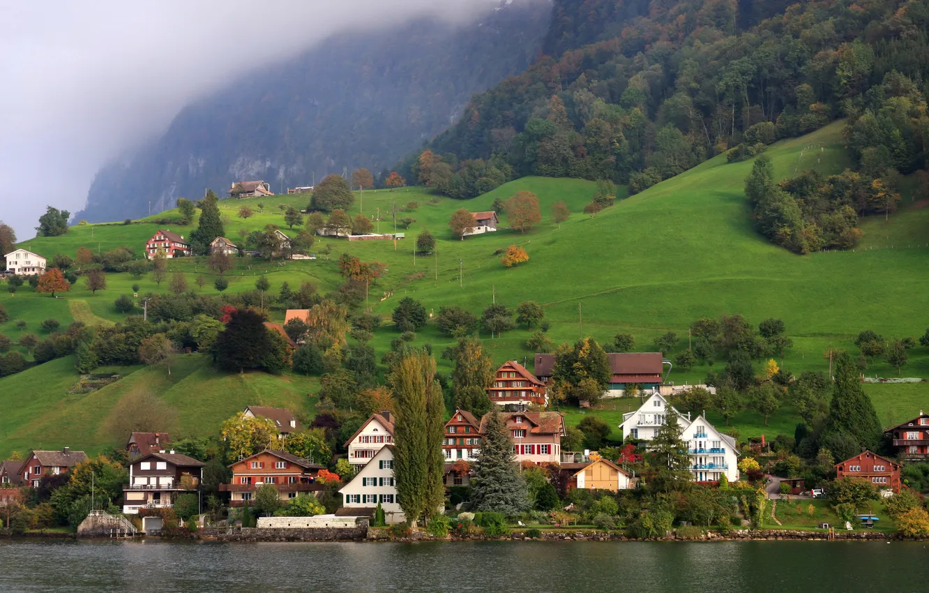 Photo wallpaper forest, the city, lake, photo, home, Switzerland, Kehristen