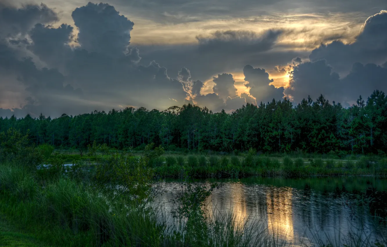 Photo wallpaper forest, clouds, sunset, nature, lake, forest, Nature, sunset