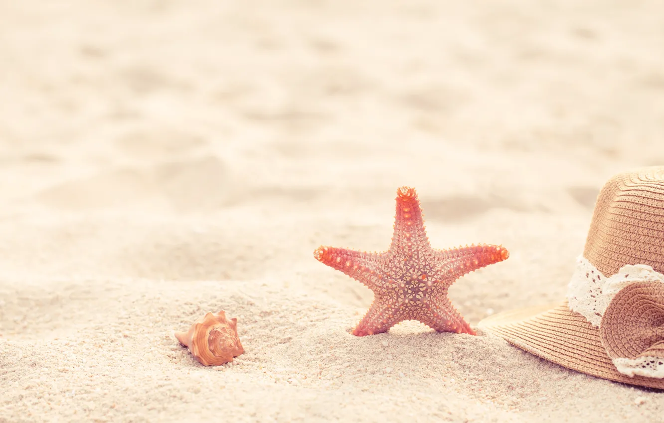 Photo wallpaper sand, beach, summer, stars, hat, shell, summer, beach