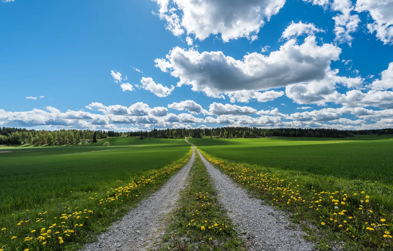 Photo wallpaper road, field, summer