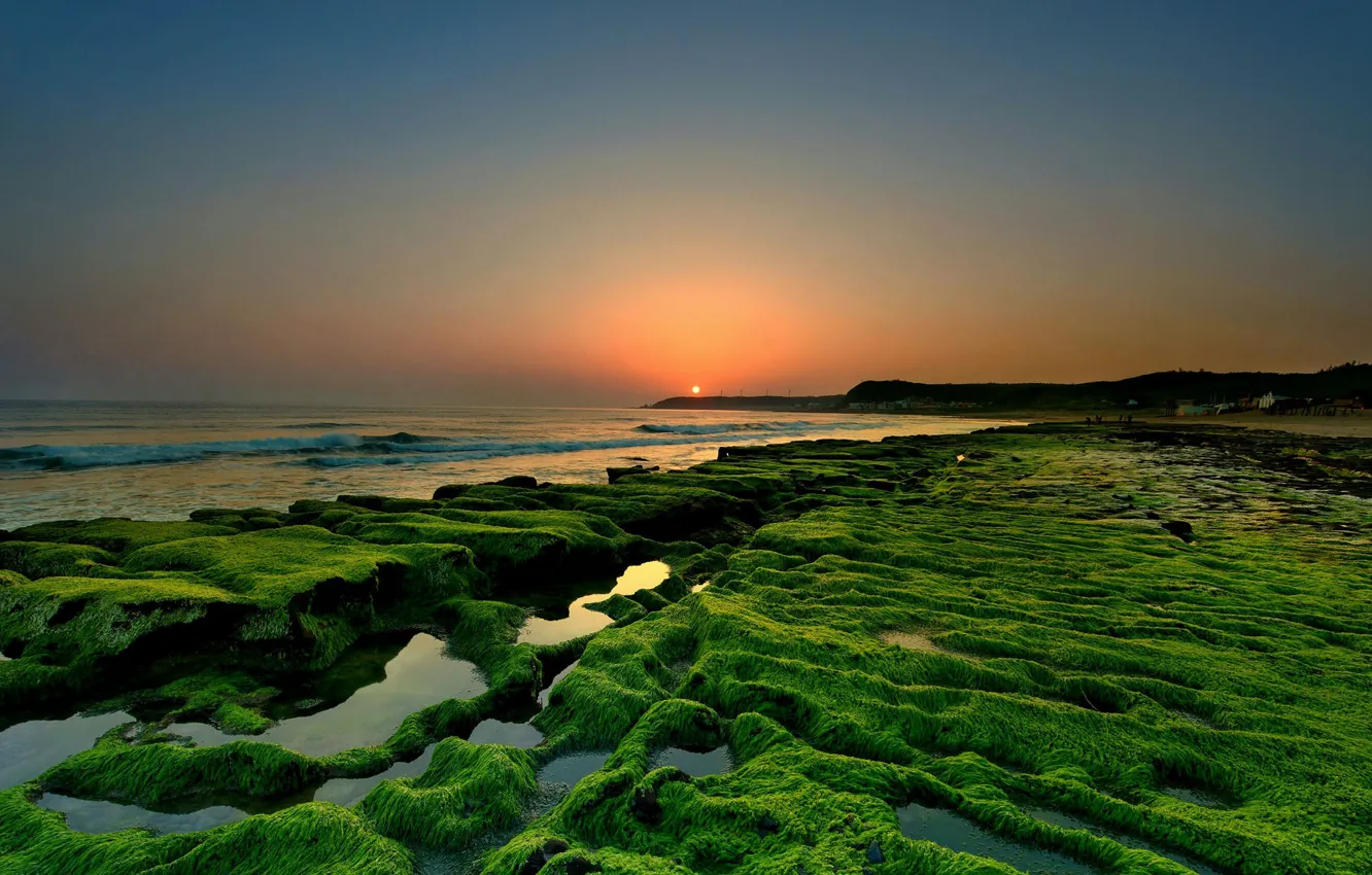 Photo wallpaper sea, landscape, sunset, nature, stones, moss