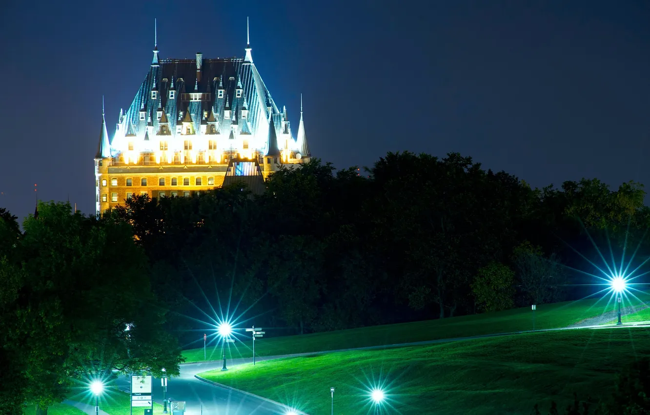 Photo wallpaper trees, night, lights, castle, Chateau