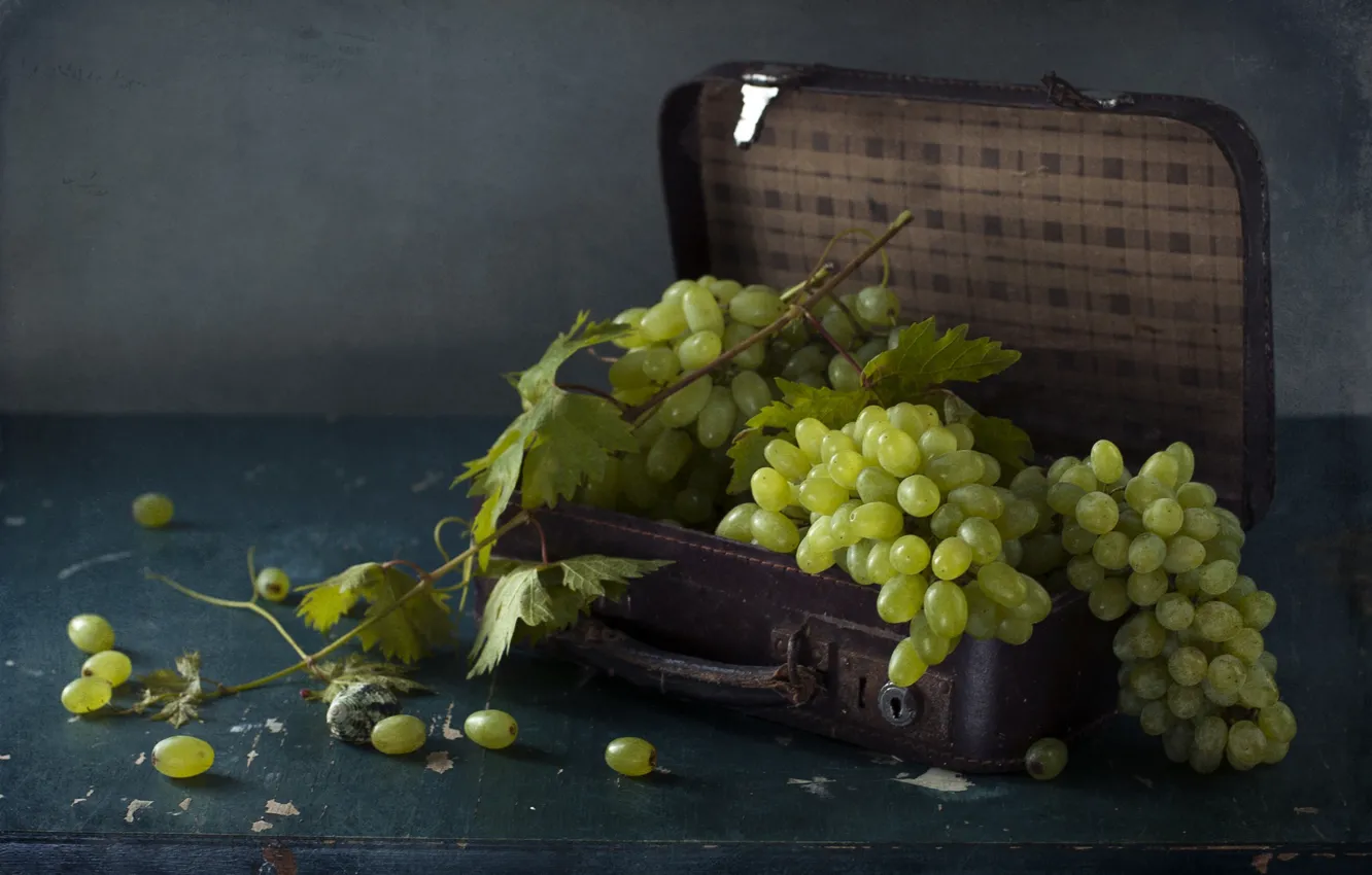 Photo wallpaper leaves, berry, grapes, suitcase