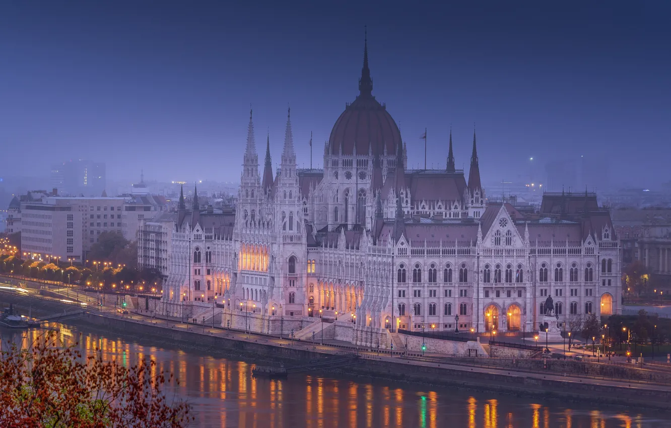 Photo wallpaper the sky, branches, the city, lights, fog, reflection, building, tower