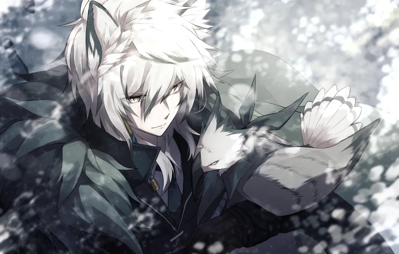 Photo wallpaper bird, Fox, guy, Arknights, SilverAsh, Tenzin