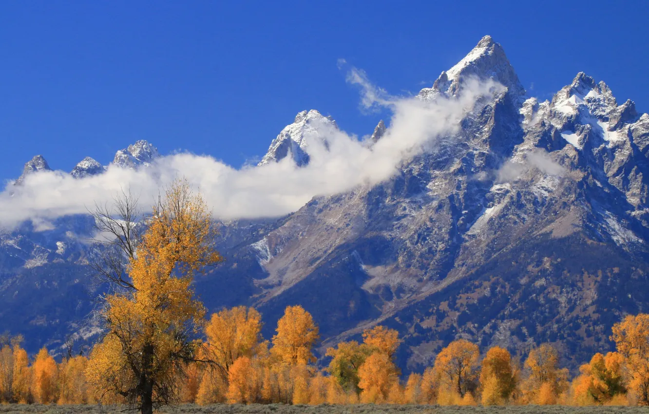 Photo wallpaper autumn, clouds, trees, mountains, Wyoming, USA, Grand Teton, Grand Teton National Park
