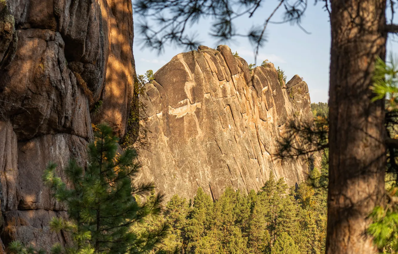 Photo wallpaper autumn, posts, Krasnoyarsk, Minsk Wall