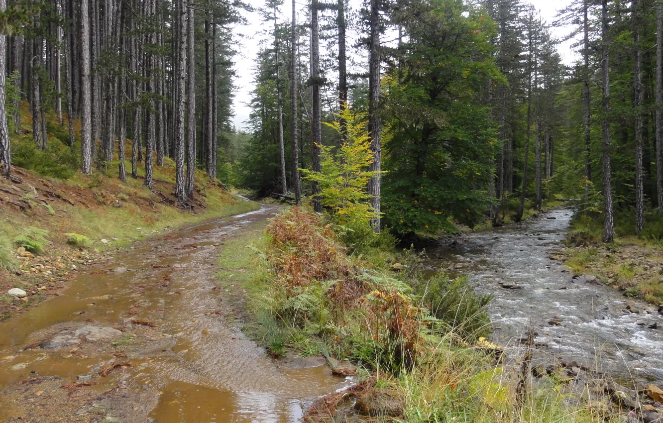 Photo wallpaper Valia Calda, Grevena