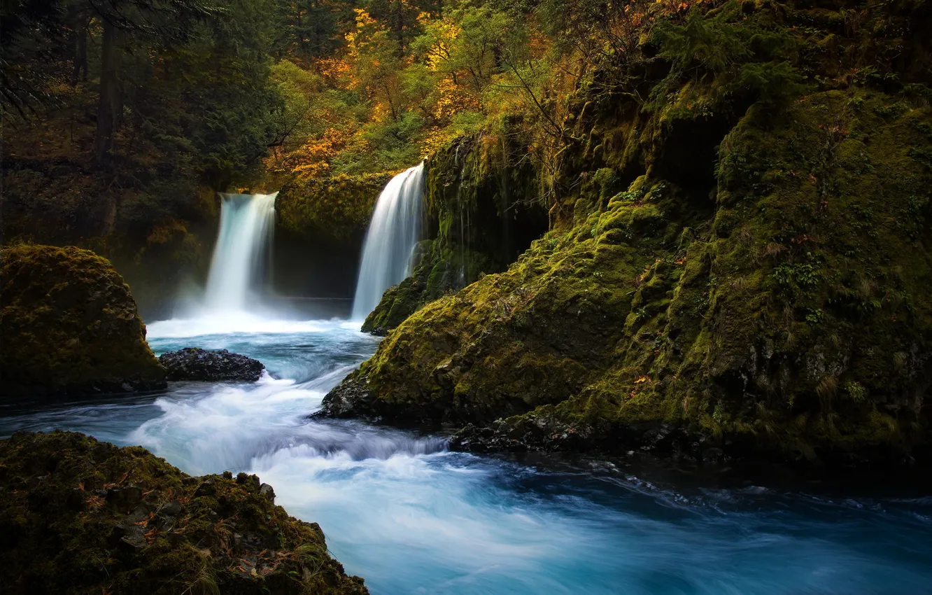 Photo wallpaper forest, nature, river, stones, waterfall, moss