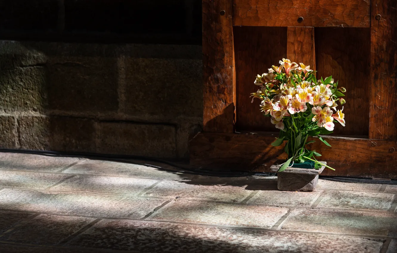 Photo wallpaper light, flowers, wall, tile, bouquet, shadows, the sidewalk, Alstroemeria