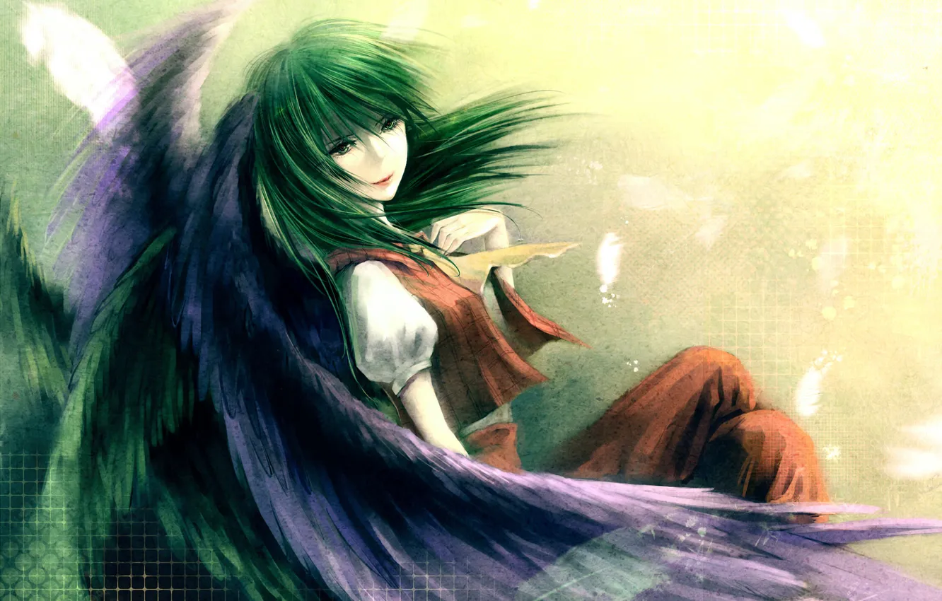 Photo wallpaper girl, wings, feathers, art, bow, touhou, Kazami Yuuka, Kieta