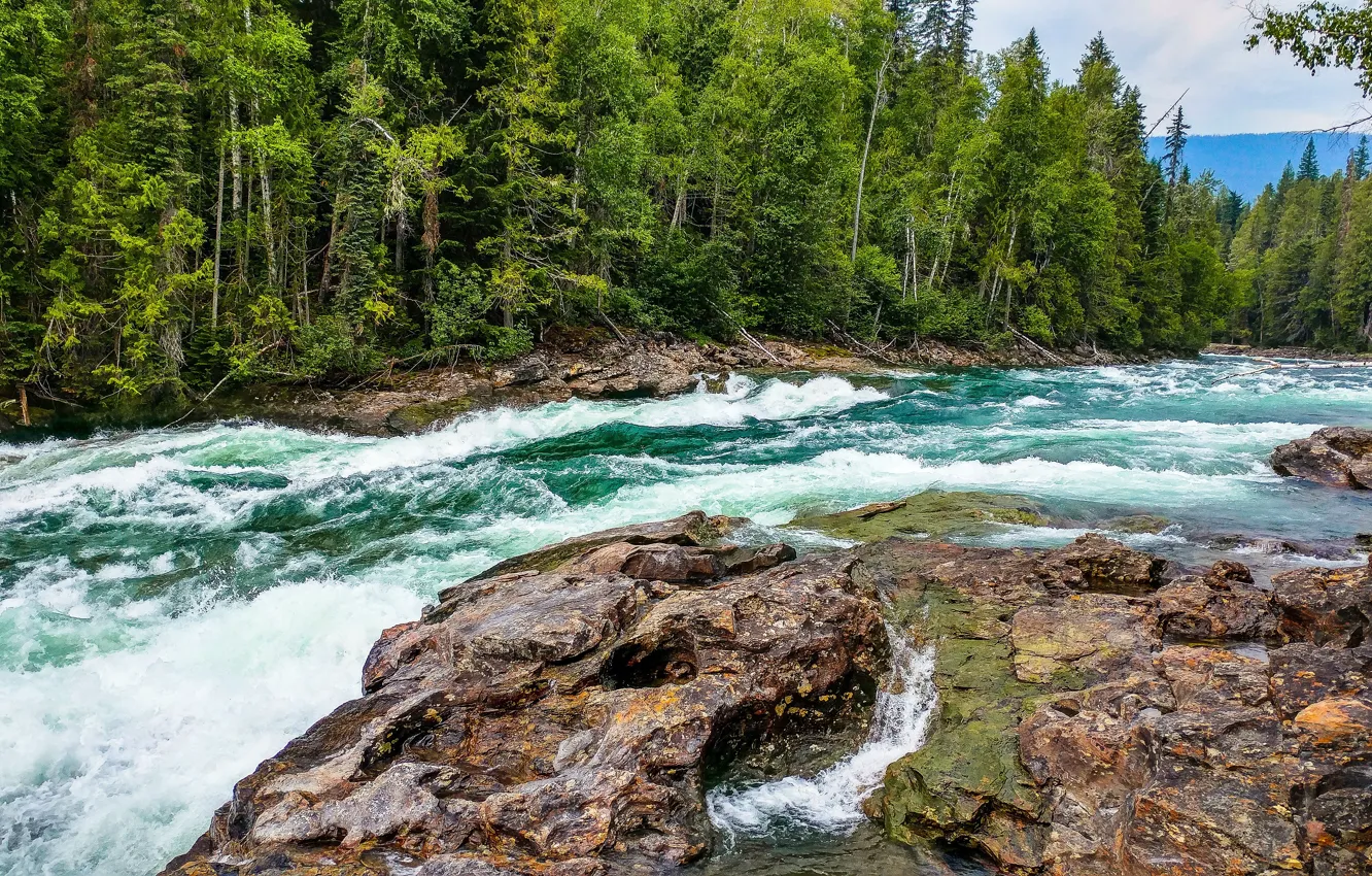 Photo wallpaper forest, foam, nature, stones, beauty, forest, nature, mountain river