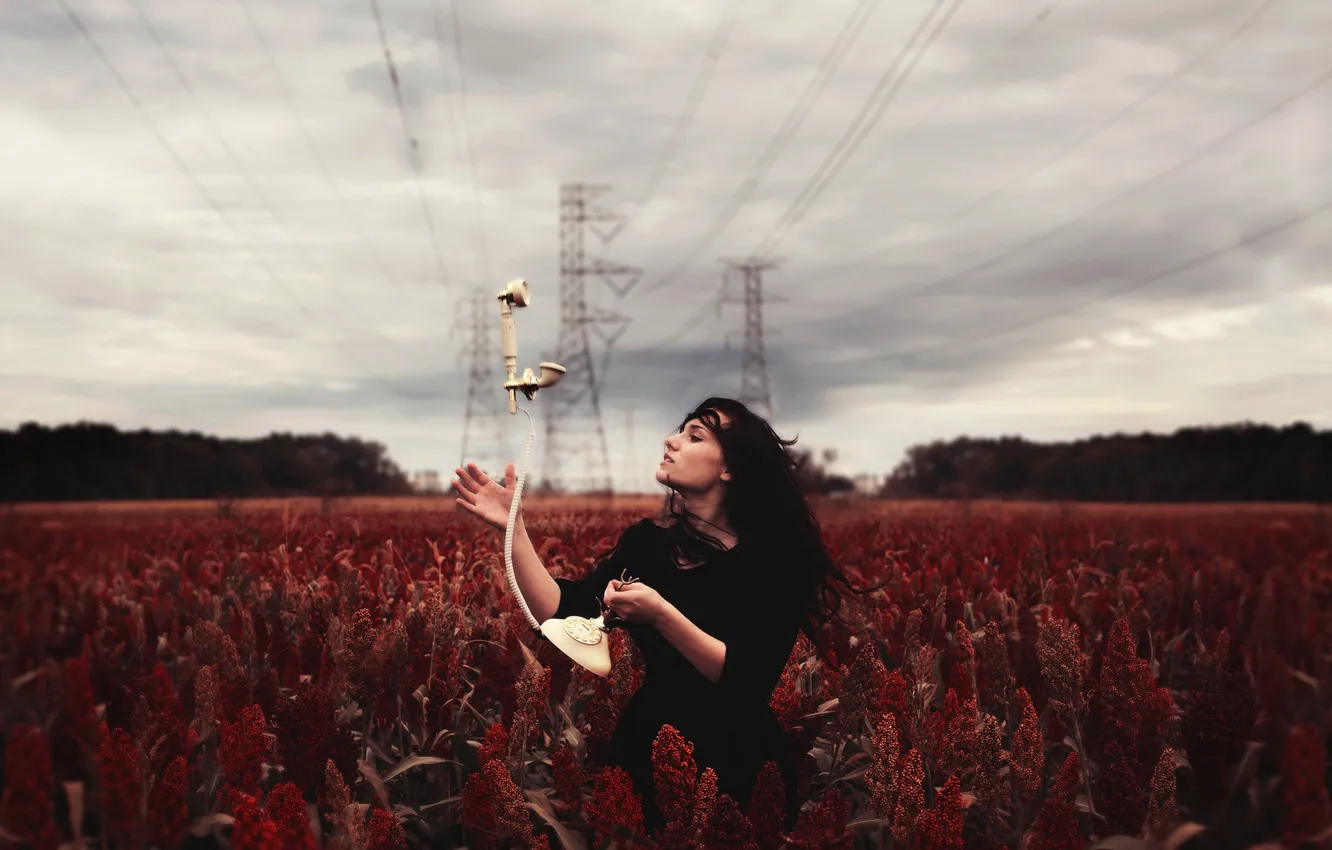 Photo wallpaper field, girl, phone