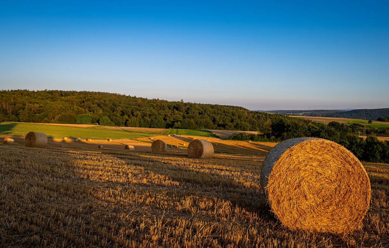 Photo wallpaper field, Germany, straw