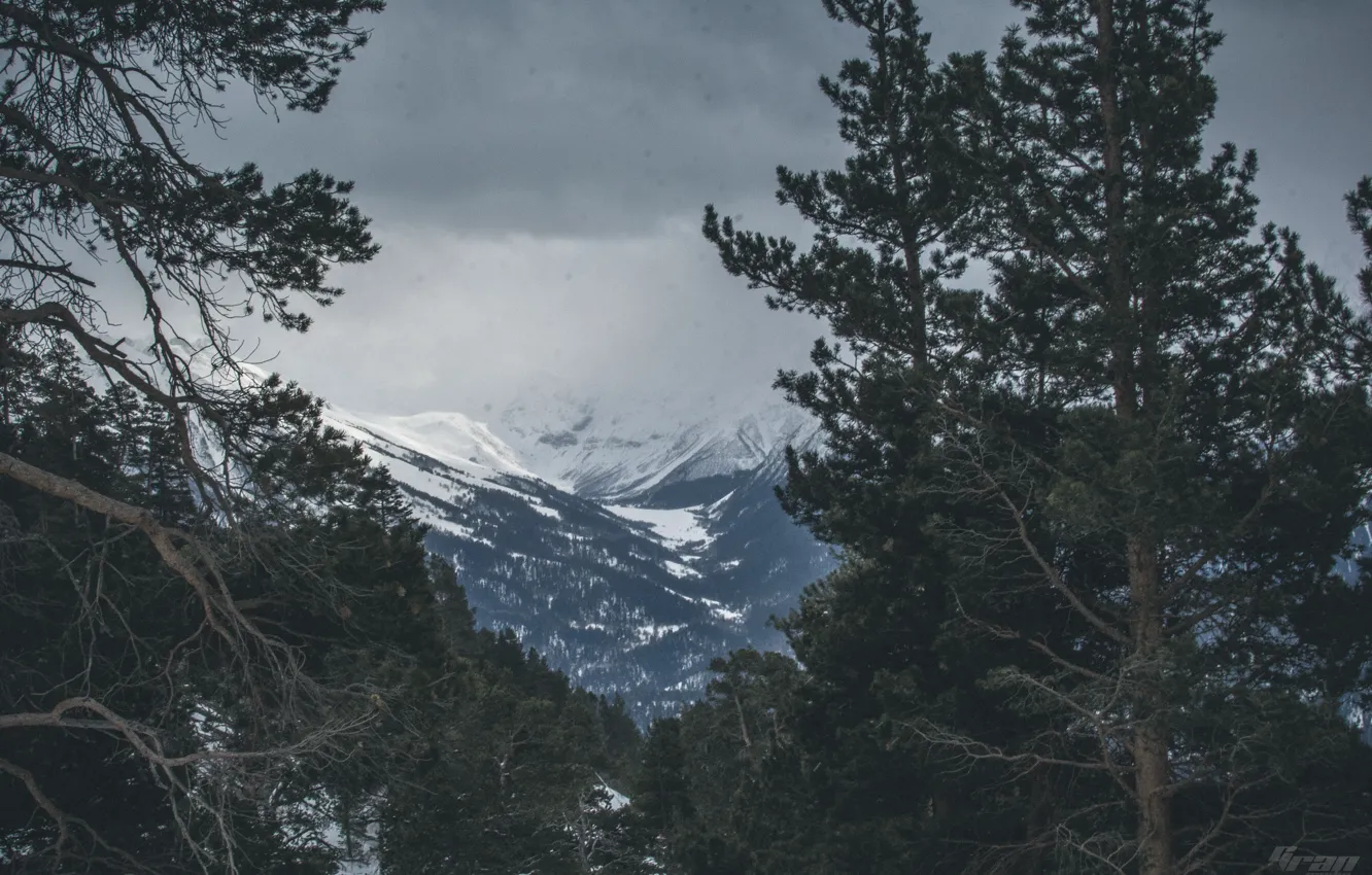 Photo wallpaper trees, cloudy, mountains, landscape, Arkhyz