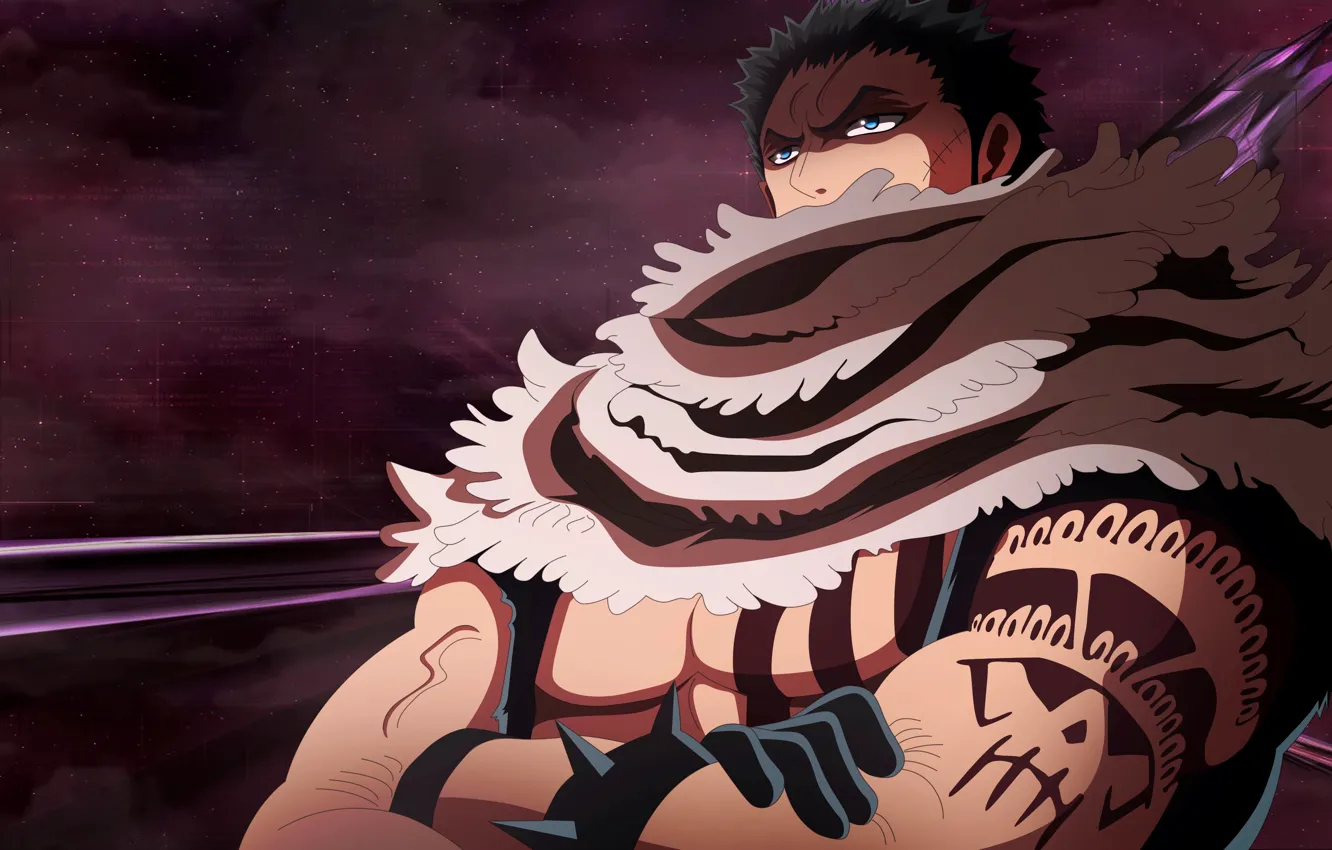 Photo wallpaper One Piece, pirate, anime, tatoo, manga, japanese, akuma from mi, kaizoku