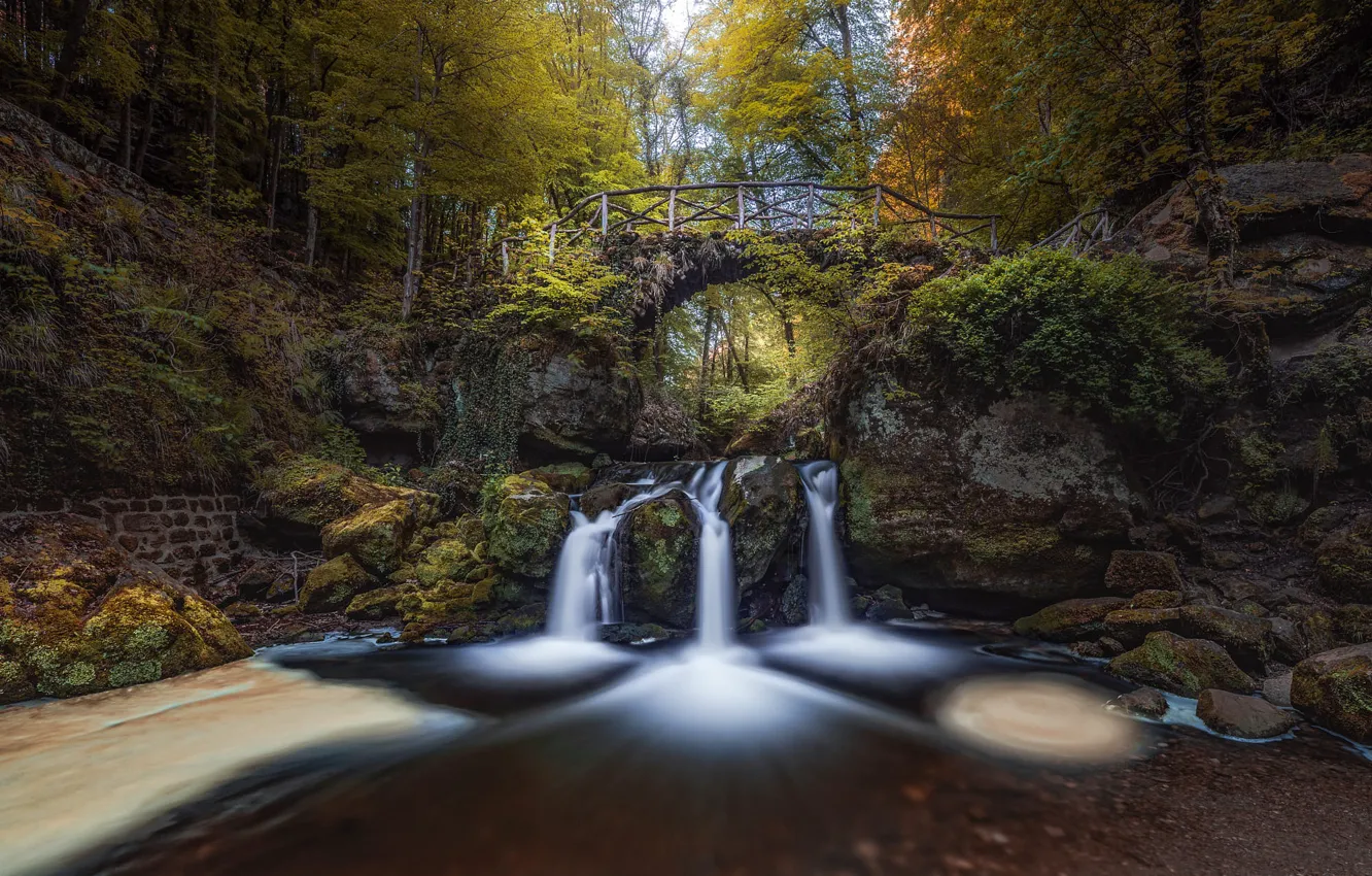 Photo wallpaper autumn, forest, trees, bridge, stones, rocks, shore, waterfall