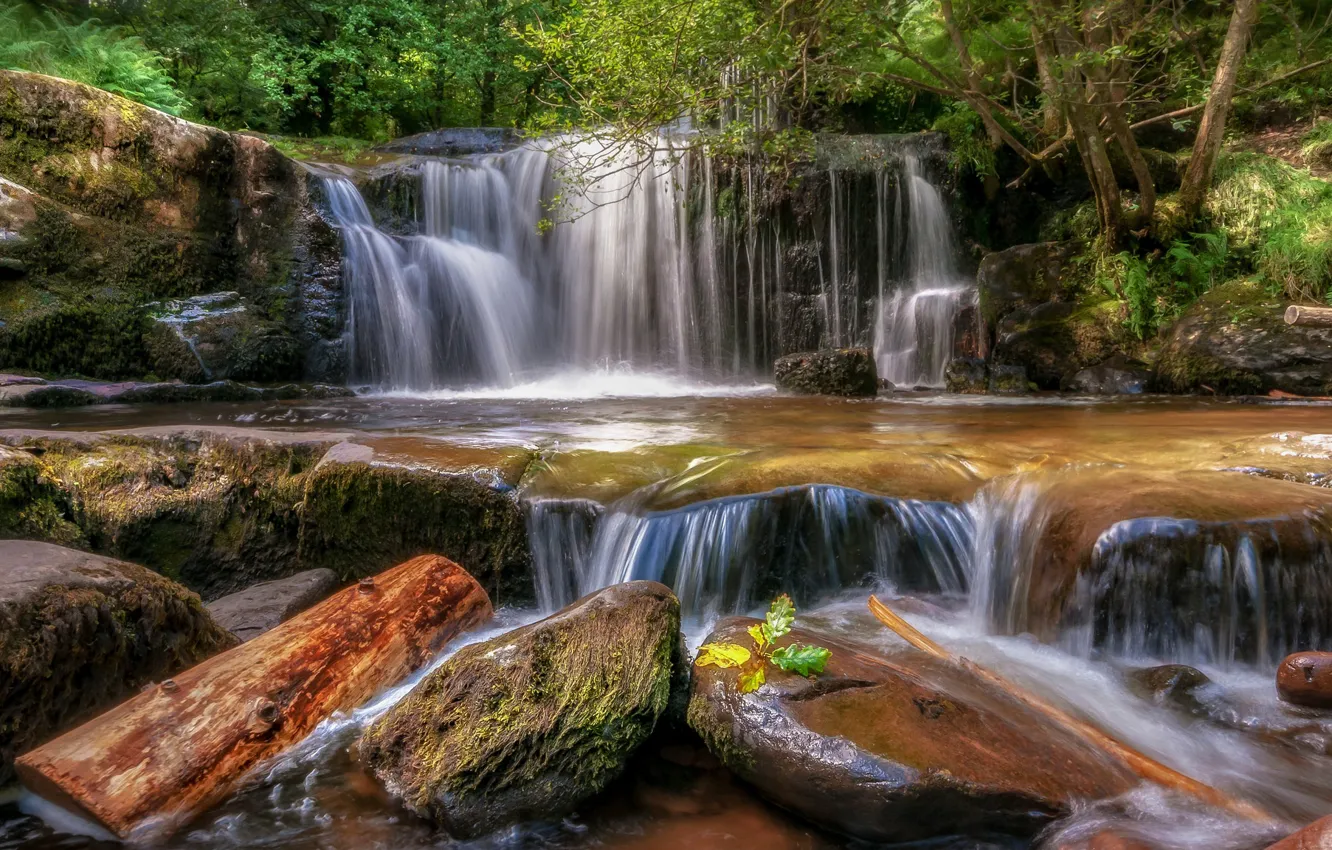 Photo wallpaper forest, stones, waterfall, Wales, Llansantffraed