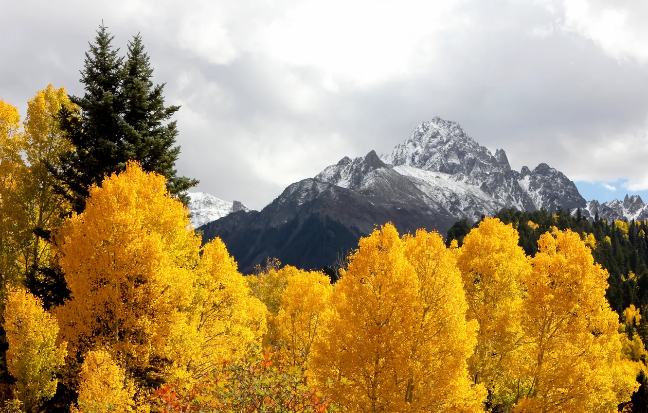 Photo wallpaper autumn, the sky, leaves, clouds, trees, mountains