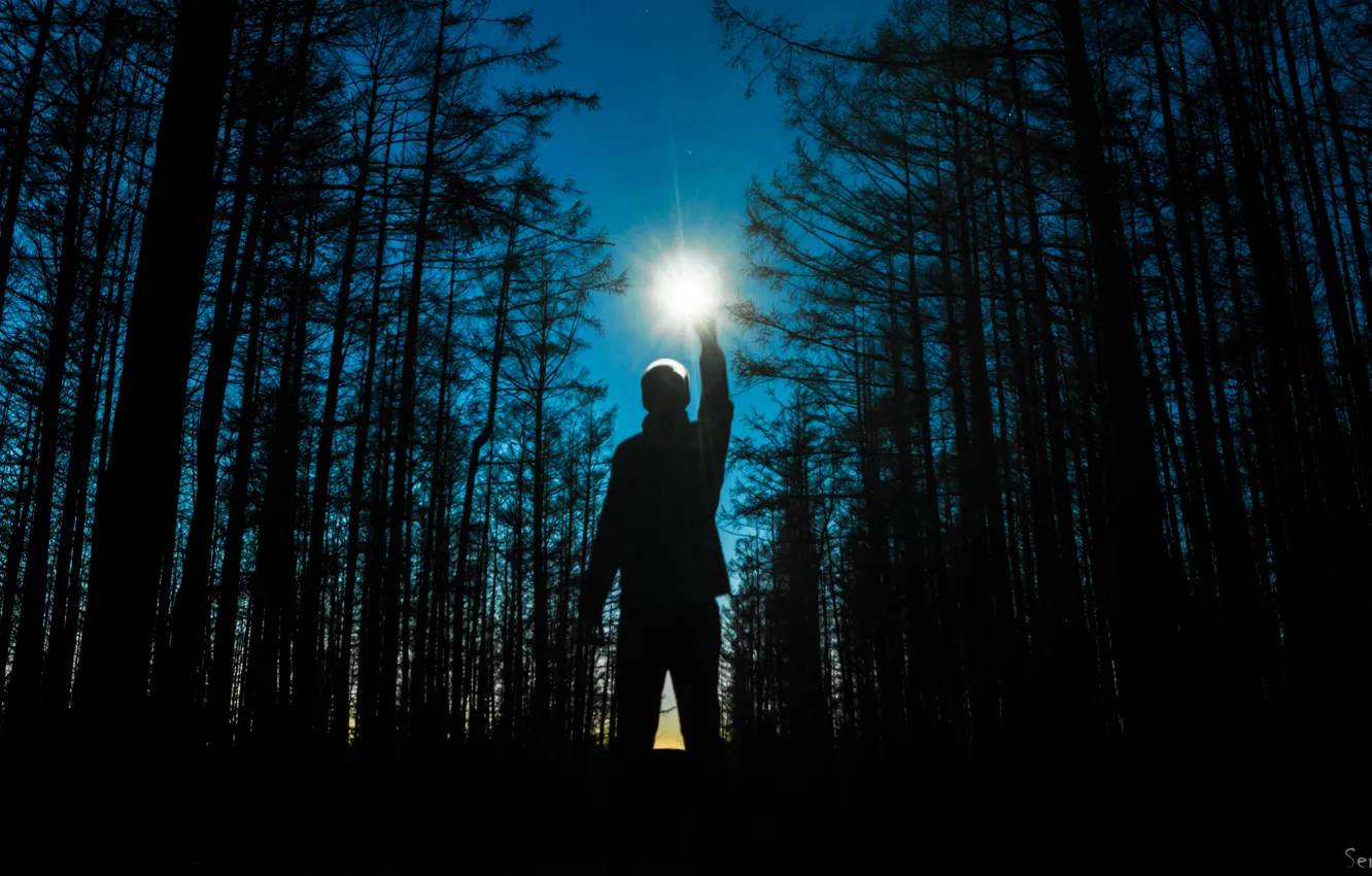 Photo wallpaper Night, Trees, Fire, Forest, Space, Star, Light, Hand