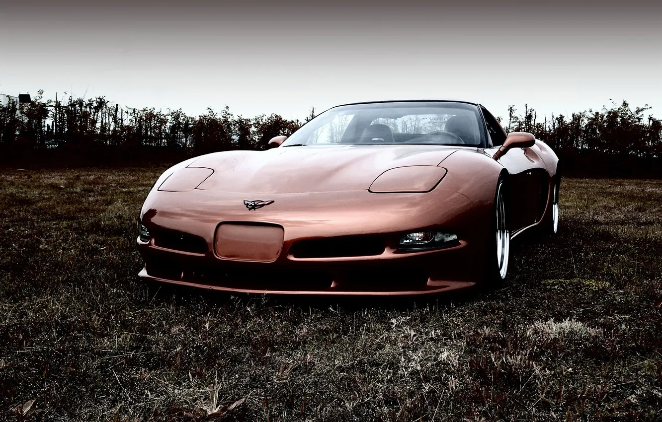 Photo wallpaper Chevrolet, sports car, tuning, Corvette, Corvette C5