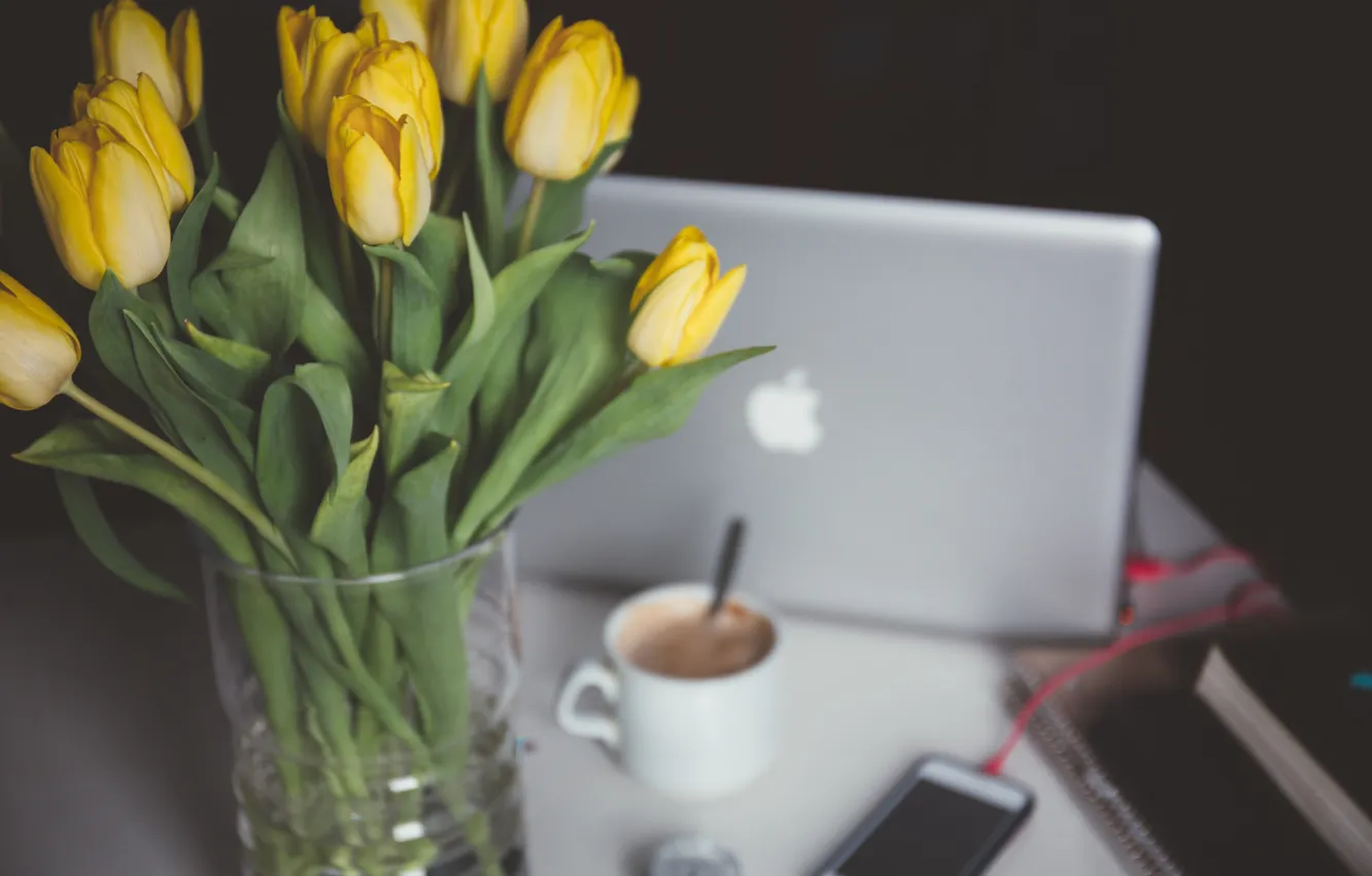 Photo wallpaper flowers, yellow, tulips