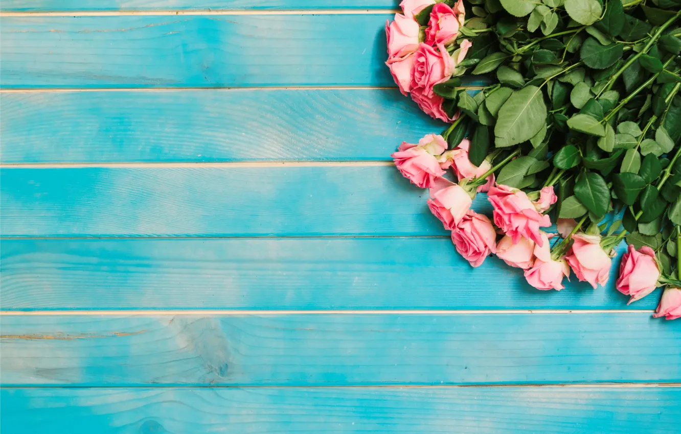 Photo wallpaper flowers, roses, pink, buds, fresh, wood, pink, flowers