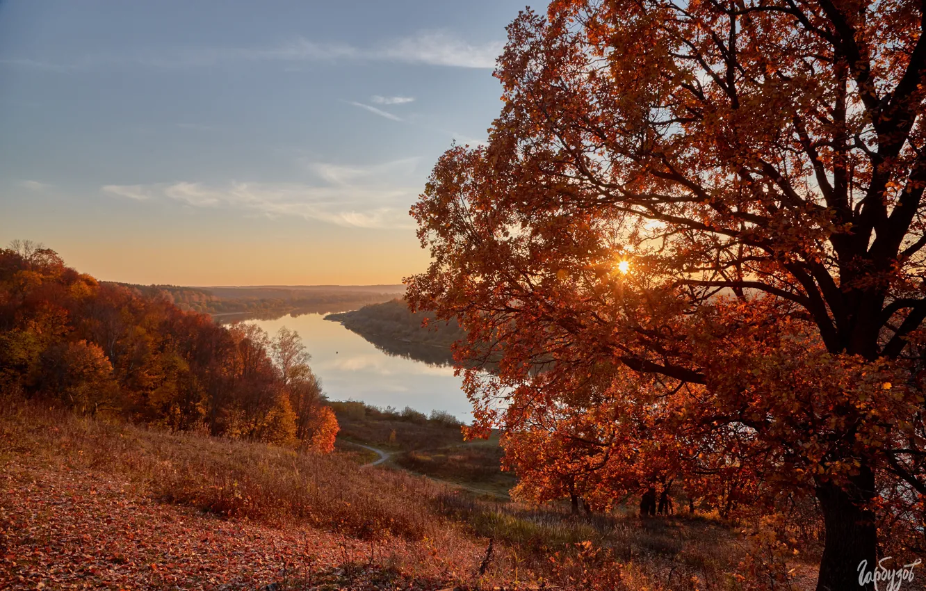 Photo wallpaper autumn, the sun, landscape, sunset, nature, river, forest, Oka