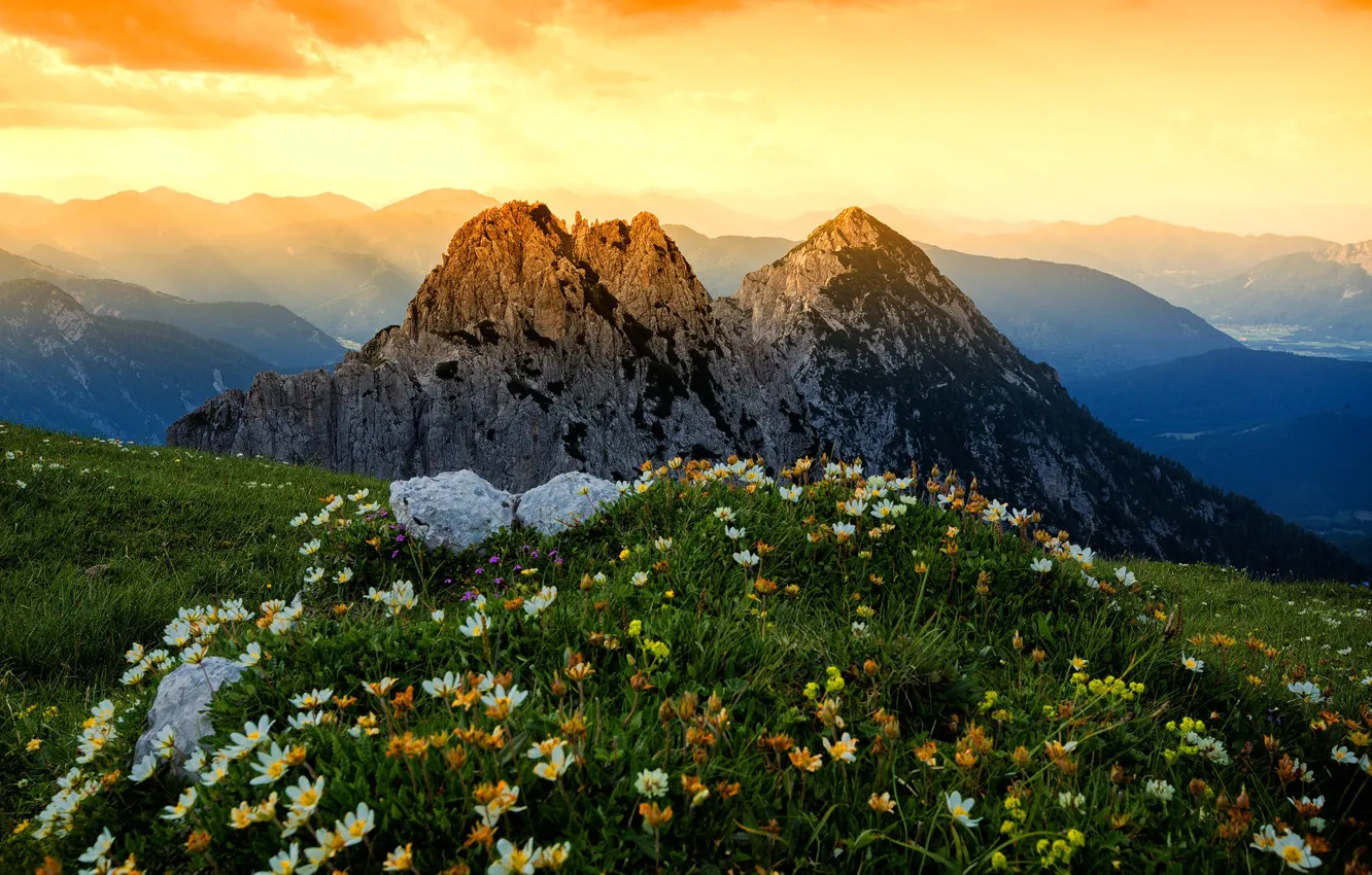 Photo wallpaper grass, landscape, flowers, mountains, nature, Alps, meadows