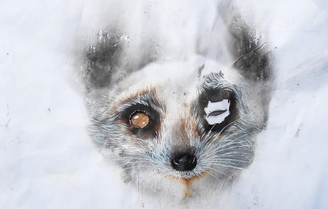 Photo wallpaper background, art, Fox