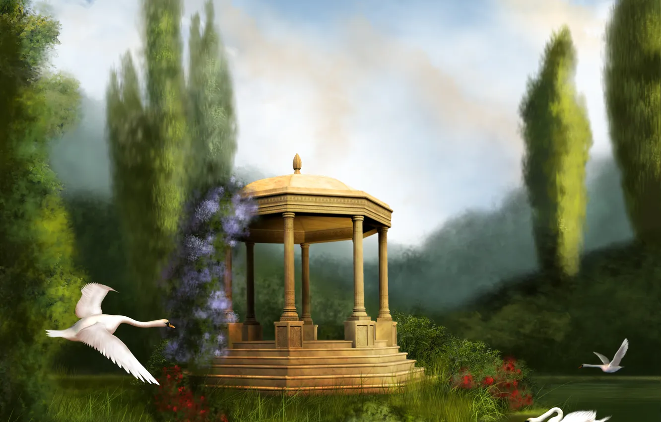 Photo wallpaper water, nature, swans