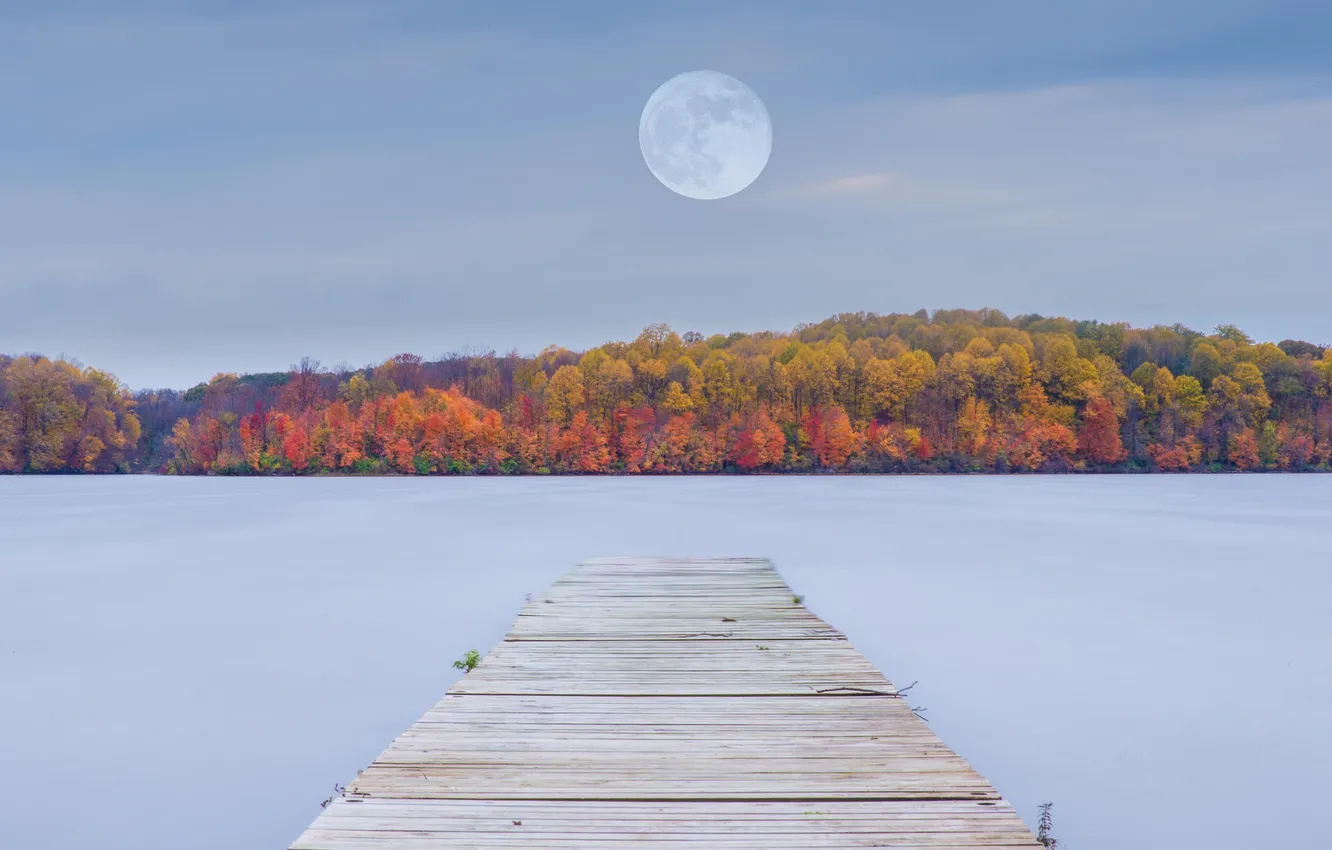 Photo wallpaper autumn, forest, nature, lake, the moon, Marina