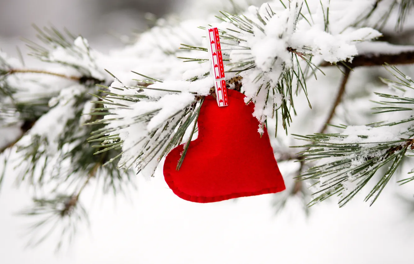 Photo wallpaper love, heart, love, heart, snow, romantic