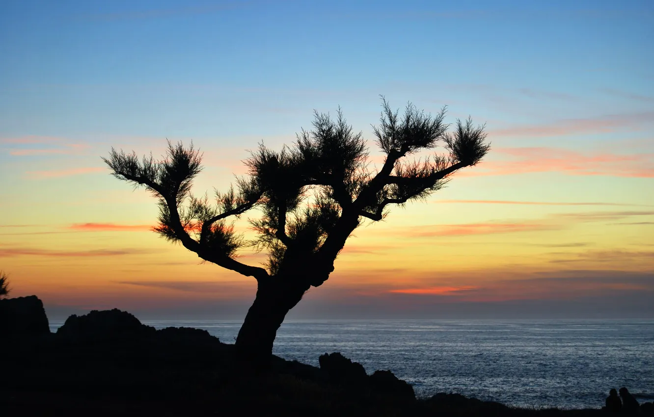Photo wallpaper sea, the sky, clouds, trees, rocks, silhouette